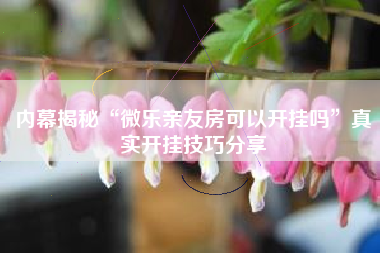 内幕揭秘“微乐亲友房可以开挂吗”真实开挂技巧分享