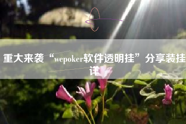重大来袭“wepoker软件透明挂”分享装挂详