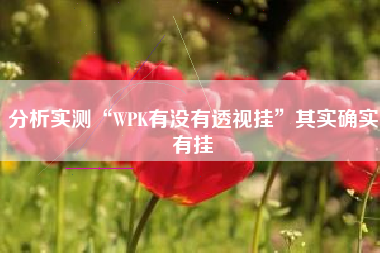 分析实测“WPK有没有透视挂	”其实确实有挂