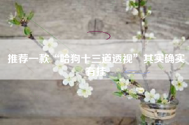 推荐一款“哈狗十三道透视”其实确实有挂