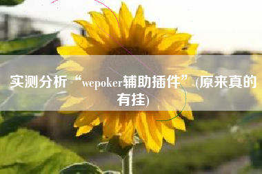 实测分析“wepoker辅助插件”(原来真的有挂)