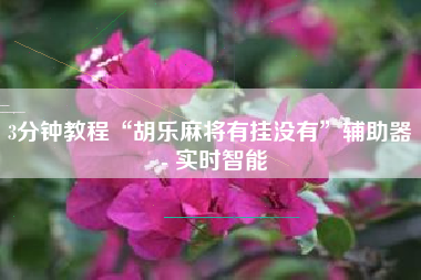 3分钟教程“胡乐麻将有挂没有”辅助器 - 实时智能