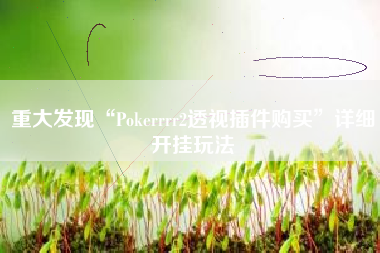 重大发现“Pokerrrr2透视插件购买”详细开挂玩法