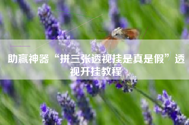 助赢神器“拼三张透视挂是真是假	”透视开挂教程