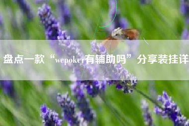 盘点一款“wepoker有辅助吗	”分享装挂详