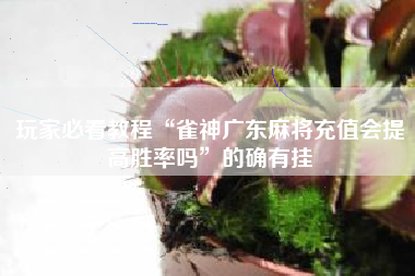 玩家必看教程“雀神广东麻将充值会提高胜率吗	”的确有挂