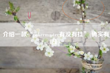 介绍一款“pokermaster有没有挂”(确实有挂)