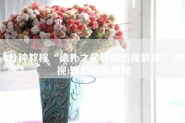 3分钟教程“德扑之星作弊透视教程	”(透视)辅助透视教程