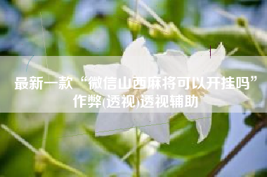 最新一款“微信山西麻将可以开挂吗”作弊(透视)透视辅助