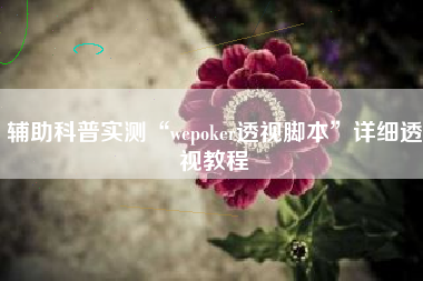 辅助科普实测“wepoker透视脚本	”详细透视教程