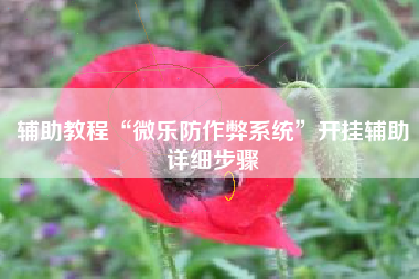 辅助教程“微乐防作弊系统”开挂辅助详细步骤