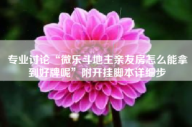 专业讨论“微乐斗地主亲友房怎么能拿到好牌呢”附开挂脚本详细步