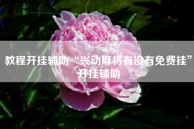 教程开挂辅助“兴动麻将有没有免费挂”开挂辅助