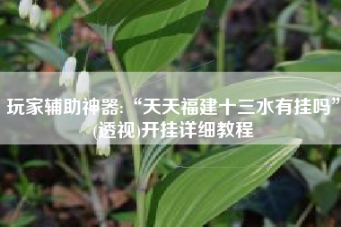 玩家辅助神器:“天天福建十三水有挂吗”(透视)开挂详细教程