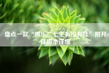 盘点一款“微乐二七王有没有挂”附开挂脚本详细