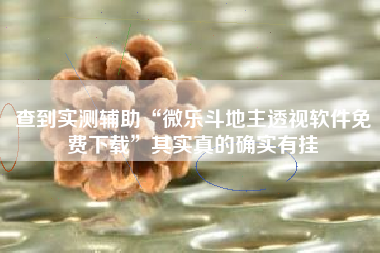 查到实测辅助“微乐斗地主透视软件免费下载”其实真的确实有挂