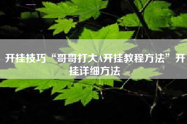 开挂技巧“哥哥打大A开挂教程方法	”开挂详细方法
