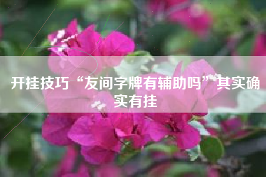 开挂技巧“友间字牌有辅助吗	”其实确实有挂