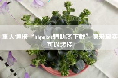 重大通报“hhpoker辅助器下载”原来真实可以装挂