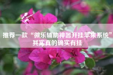 推荐一款“微乐辅助神器开挂苹果系统”其实真的确实有挂