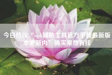 今日热议“wpk辅助工具官方下载最新版本更新内”确实果然有挂