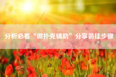 分析必看“微扑克辅助”分享装挂步骤