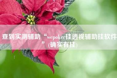 查到实测辅助“wepoker挂透视辅助挂软件”(确实有挂)