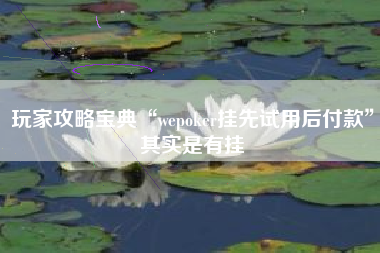 玩家攻略宝典“wepoker挂先试用后付款”其实是有挂