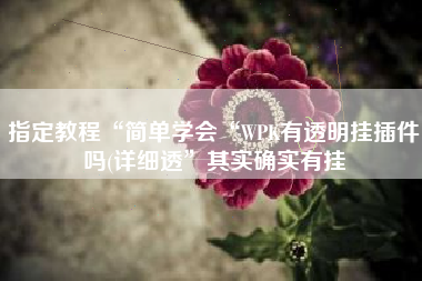 指定教程“简单学会“WPK有透明挂插件吗(详细透”其实确实有挂