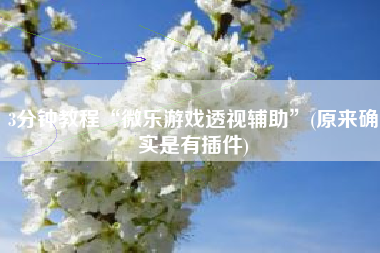 3分钟教程“微乐游戏透视辅助	”(原来确实是有插件)