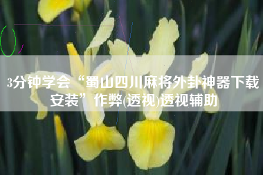 3分钟学会“蜀山四川麻将外卦神器下载安装”作弊(透视)透视辅助