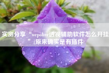 实测分享“wepoker透视辅助软件怎么开挂	”(原来确实是有插件