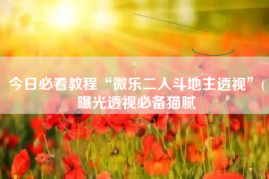 今日必看教程“微乐二人斗地主透视	”(曝光透视必备猫腻