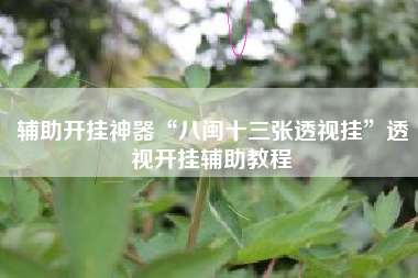 辅助开挂神器“八闽十三张透视挂	”透视开挂辅助教程