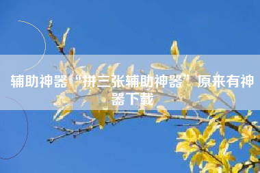 辅助神器“拼三张辅助神器	”原来有神器下载