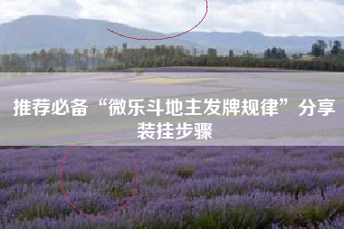 推荐必备“微乐斗地主发牌规律”分享装挂步骤