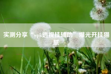 实测分享“wpk透视挂辅助”爆光开挂猫腻