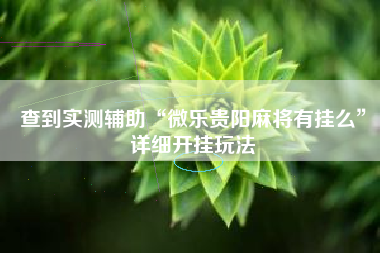 查到实测辅助“微乐贵阳麻将有挂么”详细开挂玩法