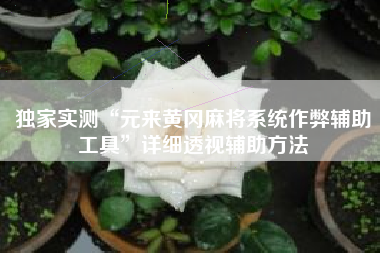 独家实测“元来黄冈麻将系统作弊辅助工具	”详细透视辅助方法