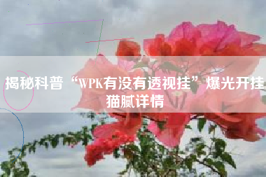 揭秘科普“WPK有没有透视挂”爆光开挂猫腻详情