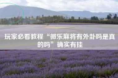 玩家必看教程“微乐麻将有外卦吗是真的吗”确实有挂