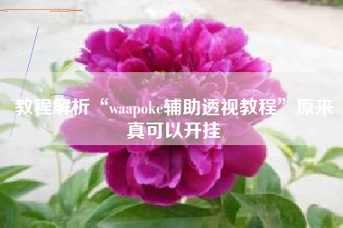 教程解析“waapoke辅助透视教程”原来真可以开挂