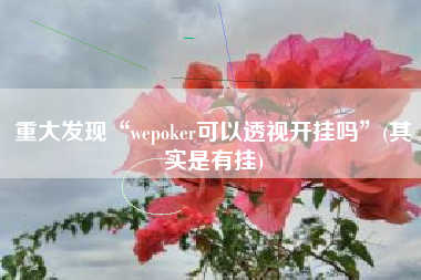 重大发现“wepoker可以透视开挂吗	”(其实是有挂)