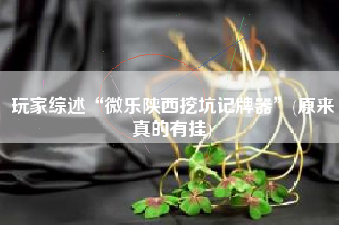 玩家综述“微乐陕西挖坑记牌器”(原来真的有挂)