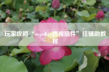 玩家攻略“wepoKer透视插件”挂辅助教程