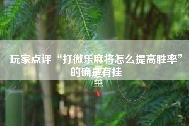 玩家点评“打微乐麻将怎么提高胜率	”的确是有挂