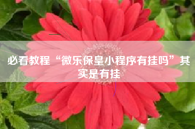 必看教程“微乐保皇小程序有挂吗”其实是有挂