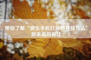 带你了解“微乐手机打麻将开挂方法	”原来真的有挂