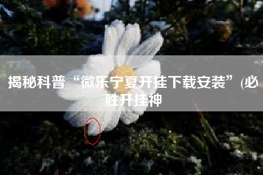 揭秘科普“微乐宁夏开挂下载安装”(必胜开挂神