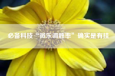 必备科技“微乐调胜率”确实是有挂